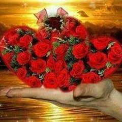 فريده النوبة