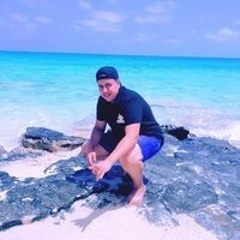 Mohamed Gamal