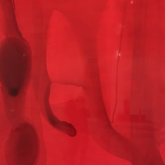 Khang Truong 2