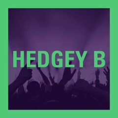 hedgeyb