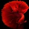 firescales_556