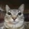 NewMew