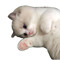 zme1qy