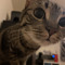 knarf