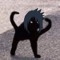 DarkChachouke