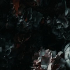 FUNERARY