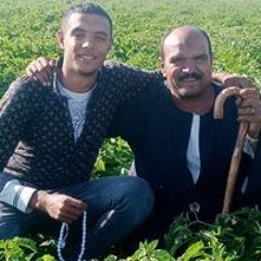 Kareem Ramadan Alfergany