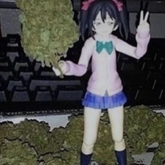AAAAAAAAAAAAAAAAAAAAAAAAAAAAAAAAAAAAAAAAAAAAAAAAAA