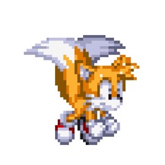 im tailshere