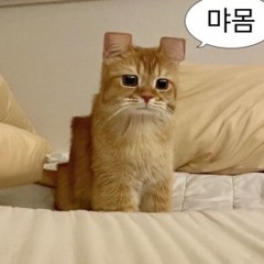 안살아시발
