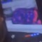 raccrunnasnappo