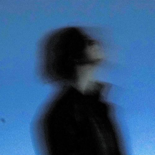 SNODIINYI — portrait