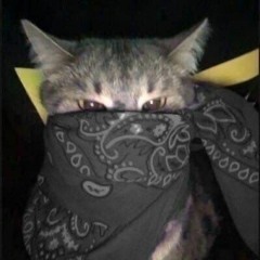 Gang_ZXC