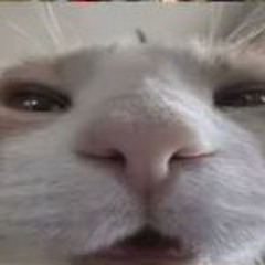MFKZ15
