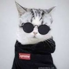 Poland Hardstyle Fan