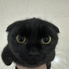 Senkan