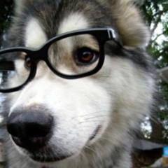 xwesome`