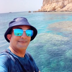 اكرامي الشربيني