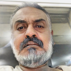 AMRO SALIH