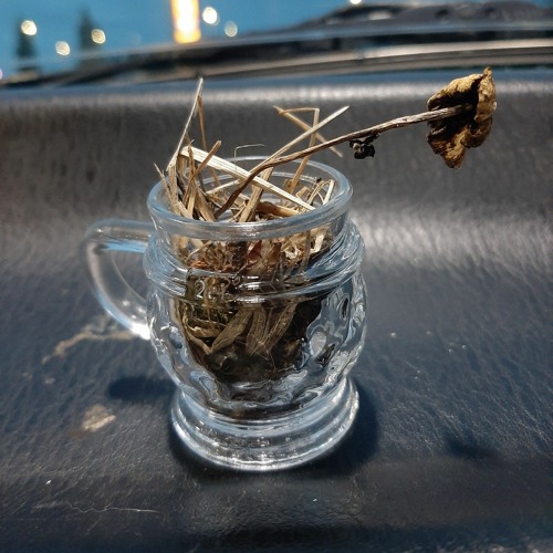 Kumma hämäläinen