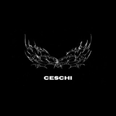ceschi music official