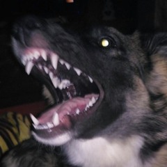 UnderChmker
