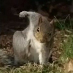 some kinda computer system