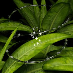 𝑴ᓍ𝒓𝒆𝒉𝒆𝒍𝒍𝒐