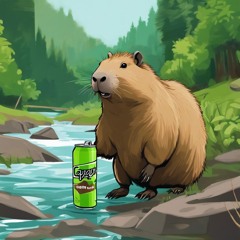 Caffeinated Capybara