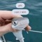 sharklover668@gmail.com