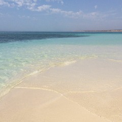 limelo