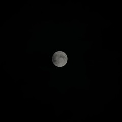 타이닝