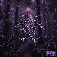 Toxxicmusic.tm