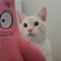 Hipersomnio inactivo