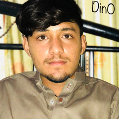 owais dino