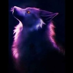 candy Wolf