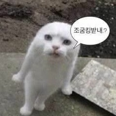 ㅇㅇ