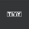 DJ TINY
