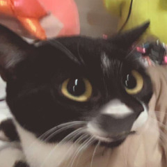 Cry in your grave💀