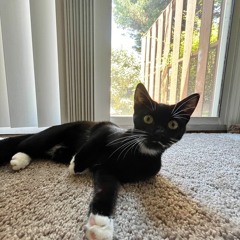 Kosmo