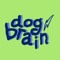 dogbrainmusic