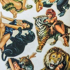 KENAI777 (@kkenai777)