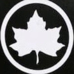 THENUMBERONEPROSPECT