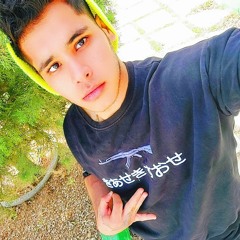 seyed
