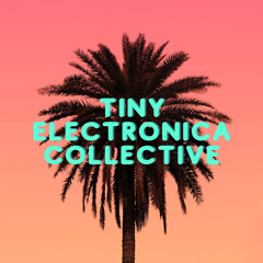tiny electronica collective