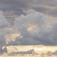 فاطمة| أحلام الشامسي💓