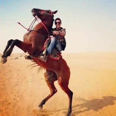 Mohamed Alenezi‬‎