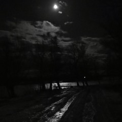 shadow.