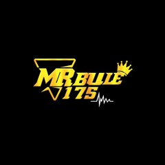 MR_BULE175