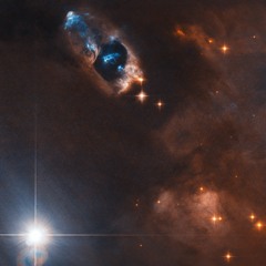 Jeremy D. Martinez, M.D.